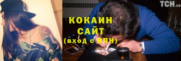 индика Баксан
