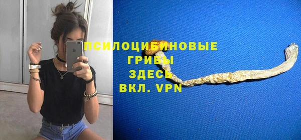 эйфоретик Балахна