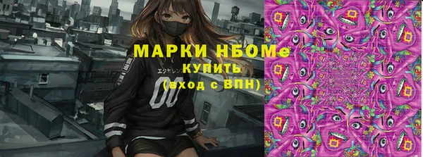 индика Баксан