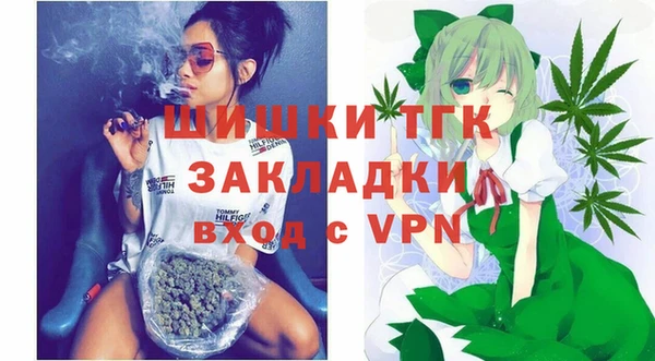 индика Баксан