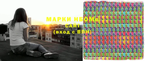 индика Баксан