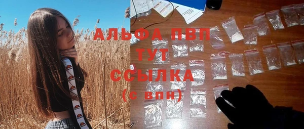 эйфоретик Балахна