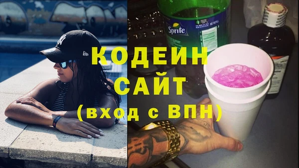 индика Баксан