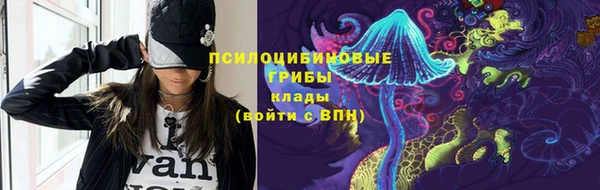 индика Баксан