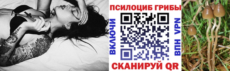 Галлюциногенные грибы MAGIC MUSHROOMS  Белёв 