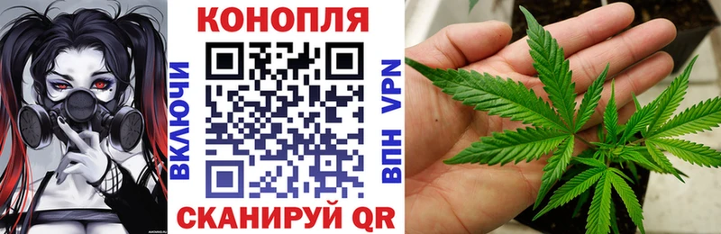 где найти   Белёв  OMG зеркало  Конопля планчик 